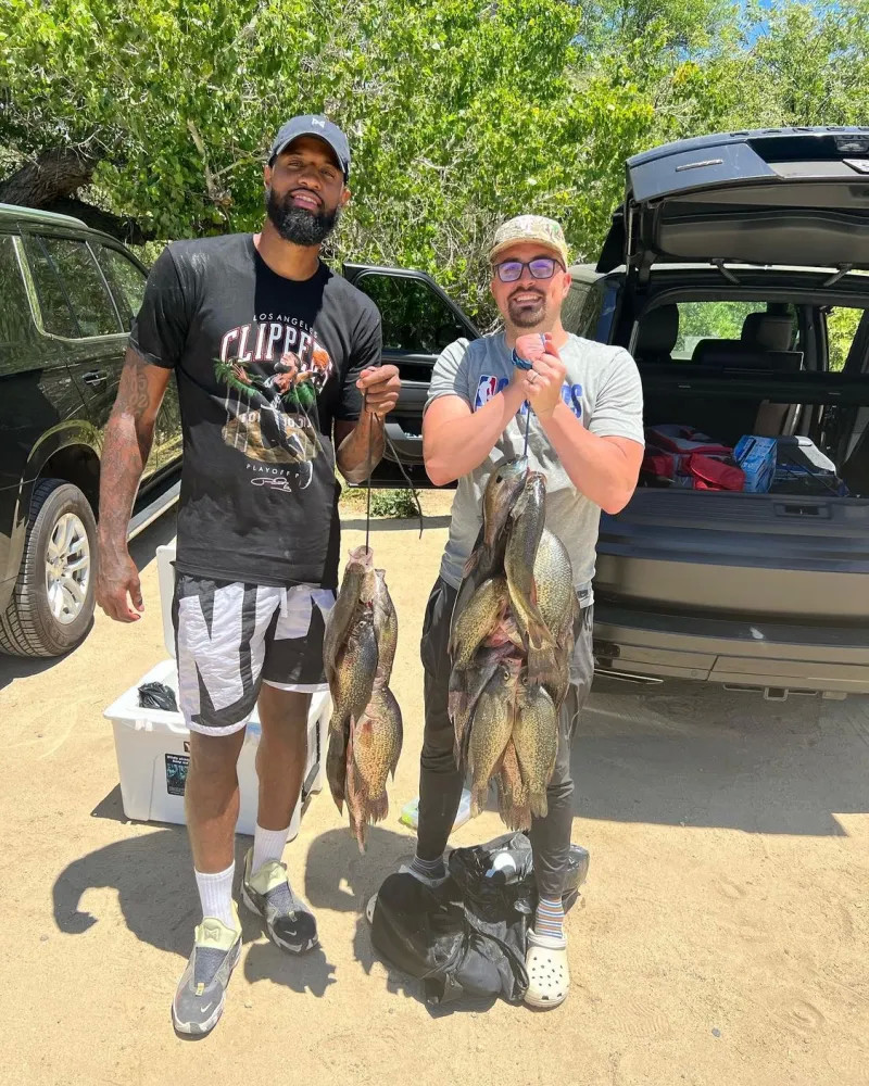 打出了一片 打出了一片